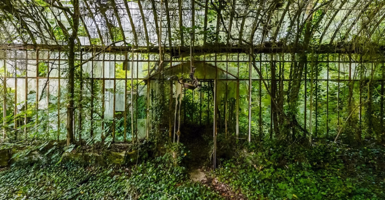 Cage souris ou terrarium : quel habitat privilégier ?